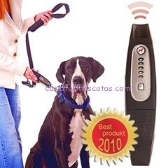 dog-e-walk_dogtrainer